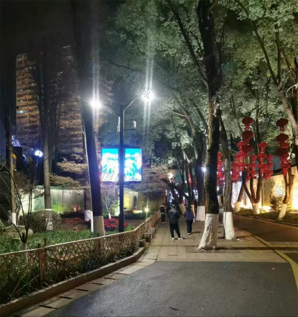 智能路燈廠家：智慧城市建設的核心驅動力